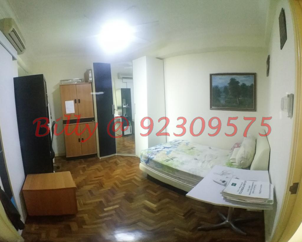The Tanamera (D16), Condominium #96348192